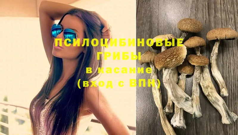 гидра как зайти  Тотьма  Галлюциногенные грибы MAGIC MUSHROOMS 